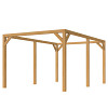 JWOODS DHZ Pergola 600x300 cm, Fijnbezaagd