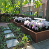 Corten Stalen Bloembak 200x200x80cm (lxbxh)