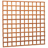 Hardhouten Trellis 180x180 cm Geschaafd, recht