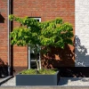 Plantenbak Carrez met bodem polyester 140x140x60 cm
