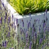 Plantenbak Carrez met bodem polyester 140x140x60 cm