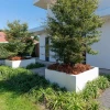 Plantenbak Carrez met bodem polyester 80x40x80 cm