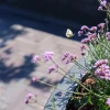 Plantenbak Circum met bodem polyester Ø80x60 cm