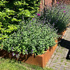 Cortenstaal keerwand recht 100x20x50 cm
