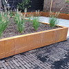 Cortenstaal keerwand recht 150x20x40 cm