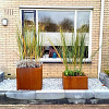 Cortenstaal vierkante plantenbak Miami 60x60x80 cm met bodemplaat