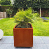 Cortenstaal vierkante plantenbak Miami 70x70x70 cm geen bodemplaat