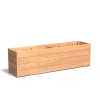 Plantenbak Carrez met bodem hardhout 200x50x57,4 cm