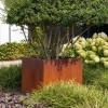 Plantenbak Carrez met bodem cortenstaal 80x40x40 cm