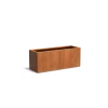 Plantenbak Carrez met bodem cortenstaal 150x50x60 cm