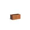 Plantenbak Carrez met bodem cortenstaal 100x50x50 cm