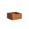 Plantenbak Carrez met bodem cortenstaal 120x120x60 cm