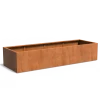 Plantenbak Carrez met bodem cortenstaal 300x100x60 cm
