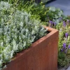 Plantenbak Carrez met wielen cortenstaal 100x50x50 cm