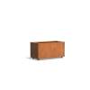Plantenbak Carrez met wielen cortenstaal 100x50x50 cm