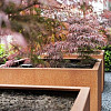 Corten Stalen Bloembak 80x80x60cm (lxbxh)