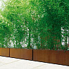 Corten Stalen Bloembak 100x40x40cm (lxbxh)