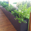 Plantenbak Carrez met bodem polyester 150x25x80 cm