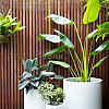 Plantenbak Circum standaard polyester RAL7021 Ø100x60 cm