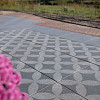 Restpartij Schagen: 4 stuks GeoProArte Design 60x60x4 cm Belgian Blue Dark Grey Flower
