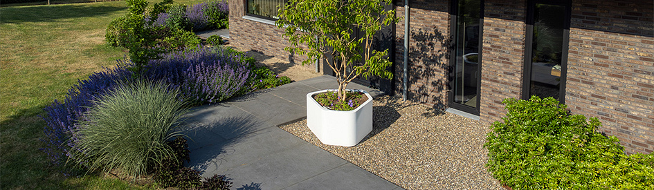 Organische Plantenbakken