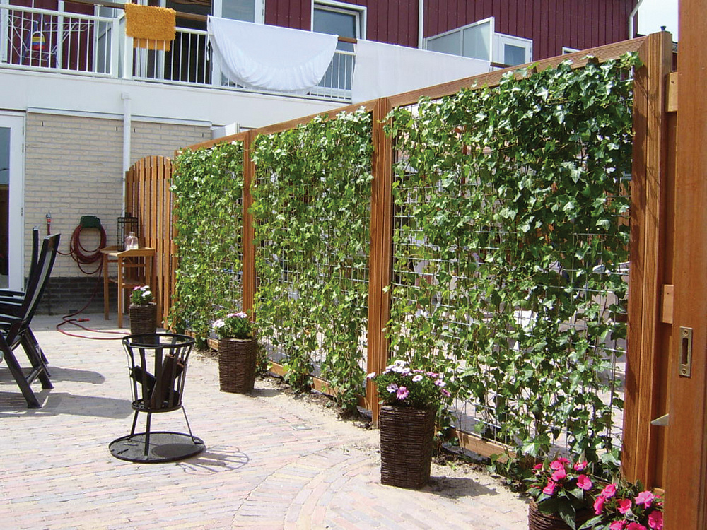 Hardhouten Gaaspanelen