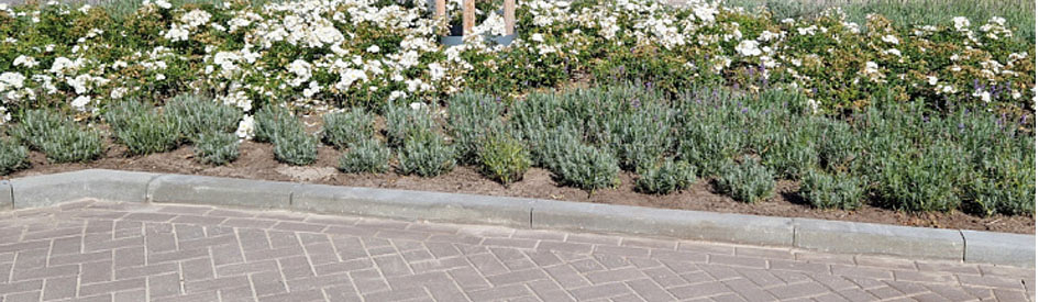 Trottoirbanden