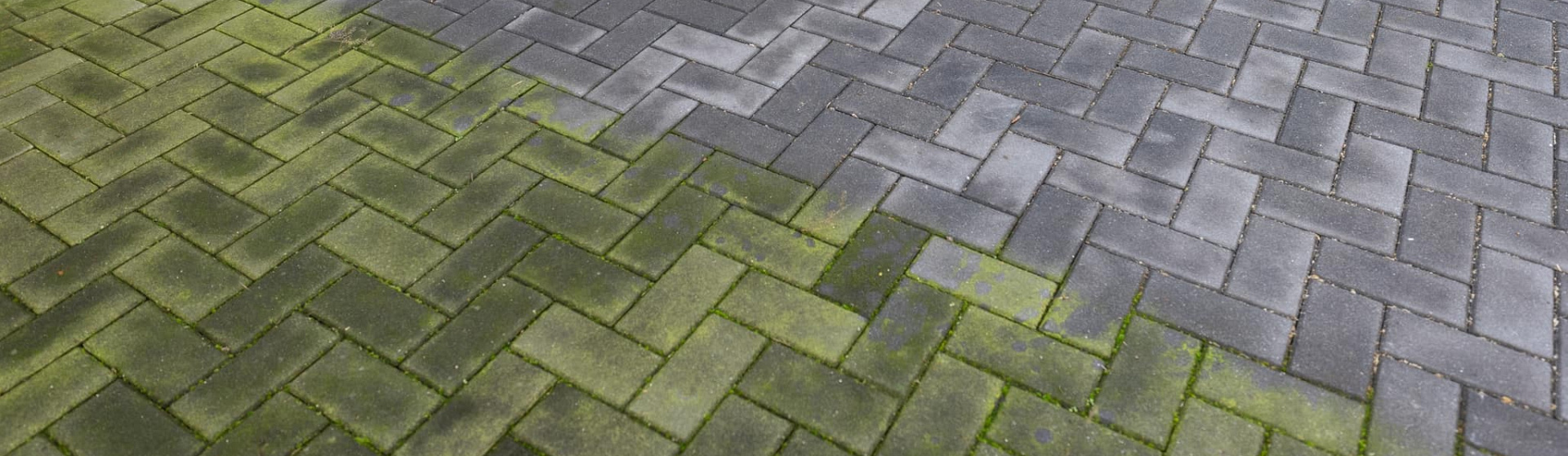 ws greenclean header