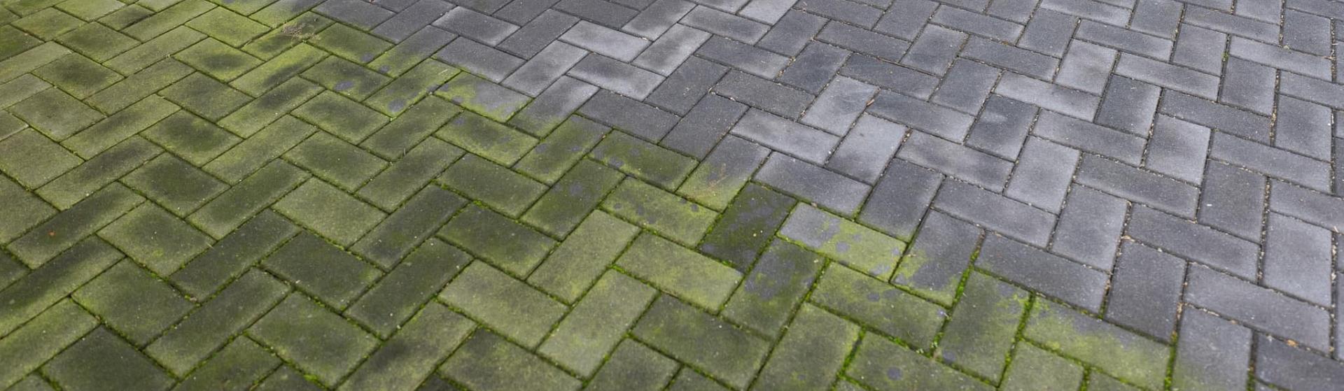 ws greenclean header