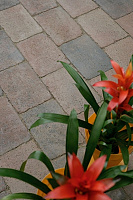 FAQ: Siertegels en sierbetonstenen