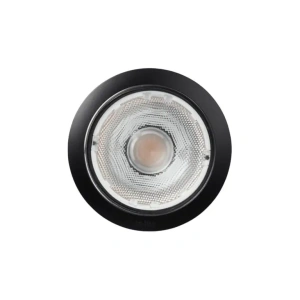 BIG FLUX grondspot Black