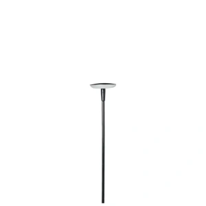SWAY LOW Black