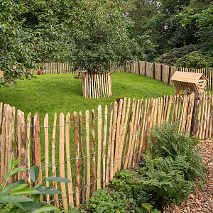 Engelse kastanjehekwerk op rol geschild latafstand 5 cm 460x180 cm