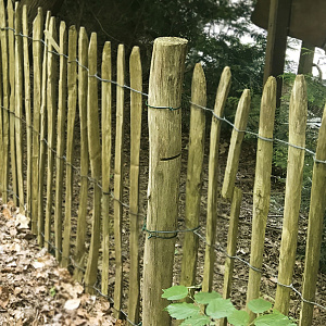 Kastanjepaal geschild en dun gepunt Ø7/9x250 cm