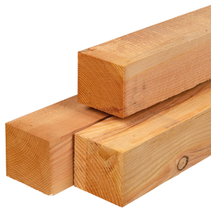 Douglas Fijnbezaagde Palen