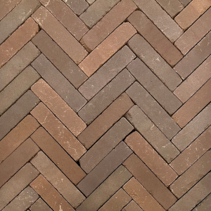 Gebakken Actieklinker Waalformaat 5x20x6 cm Oud Alkmaar