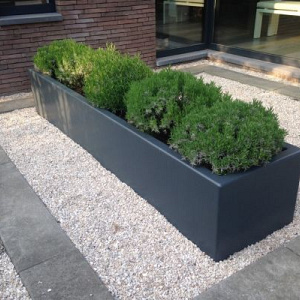 Plantenbak Carrez met bodem polyester 80x40x40 cm