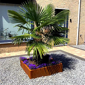 Cortenstaal vierkante plantenbak Miami 100x100x100 cm geen bodemplaat