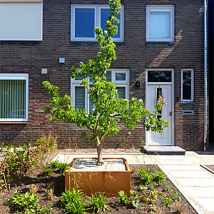 Cortenstaal vierkante plantenbak Miami 100x100x30 cm met bodemplaat