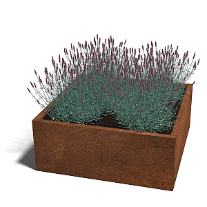 Cortenstaal vierkante plantenbak Miami 100x100x60 cm geen bodemplaat