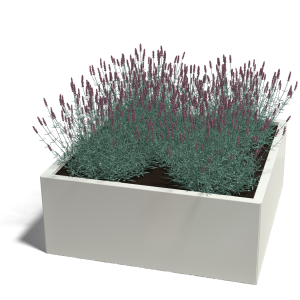 Stalen plantenbak - Vierkant - 100 x 100 x 50 cm - RAL9010 mat (wit) - Zonder bodemplaat