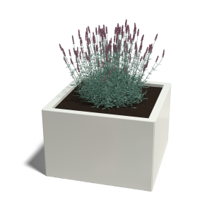 Stalen plantenbak - Vierkant - 60 x 60 x 80 cm - RAL9010 mat (wit) - Zonder bodemplaat