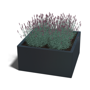 Stalen plantenbak - Vierkant - 80 x 80 x 30 cm - RAL9005 mat (zwart) - Zonder bodemplaat