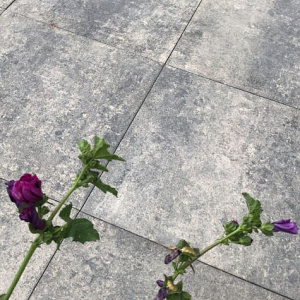 Soft Comfort 60x60x4 cm Grezzo