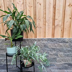 Splitrocks 32x13x11 cm Concrete