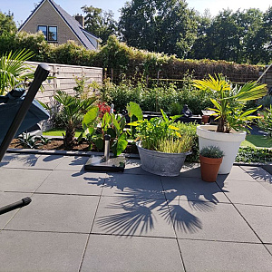 Restpartij Edam: ca. 10.08 m2 Actietegel Design 60x60x4 cm Black