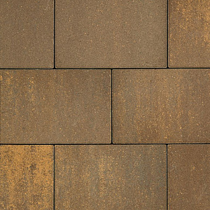 Vialetta 20x30x6 cm Colorato