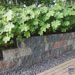 Splitrocks 32x13x11 cm Tricolore