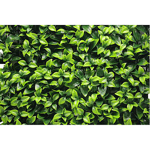 Kunsthaag Jessie Green 100x100 cm