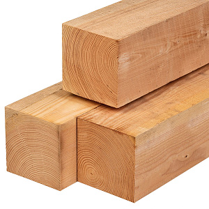 JWOODS Douglas Geschaafde Paal 19x19x300 cm, naturel